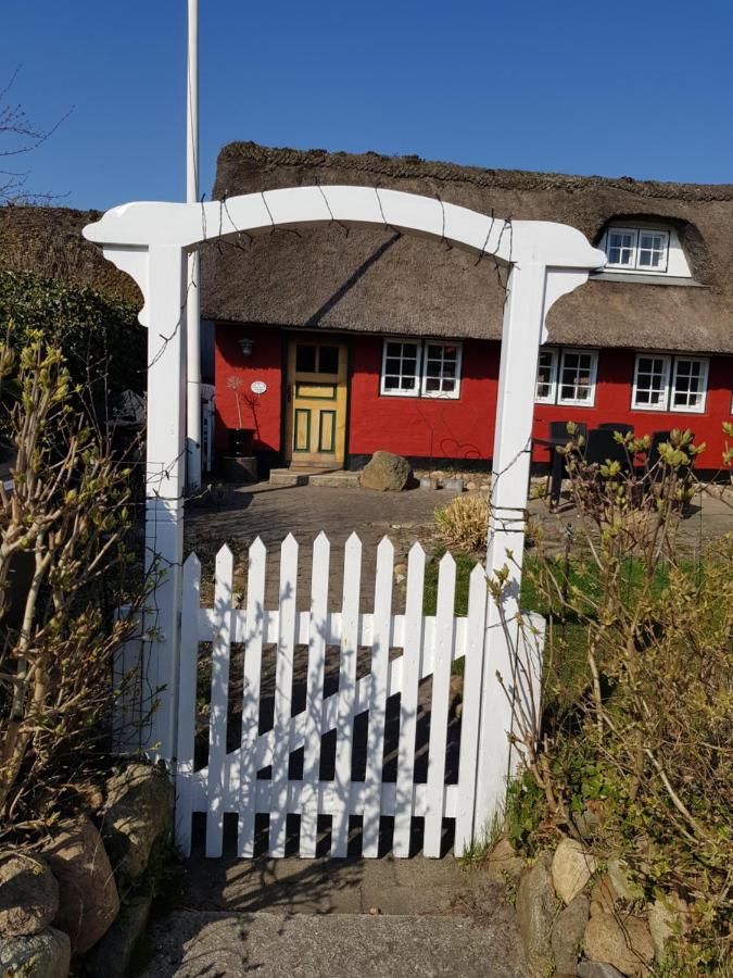 Det Bla Gaestehus Fano Exterior photo